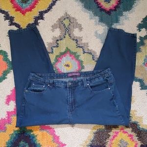Gloria Vanderbilt Sarabelle Style Indigo Jeans 20W